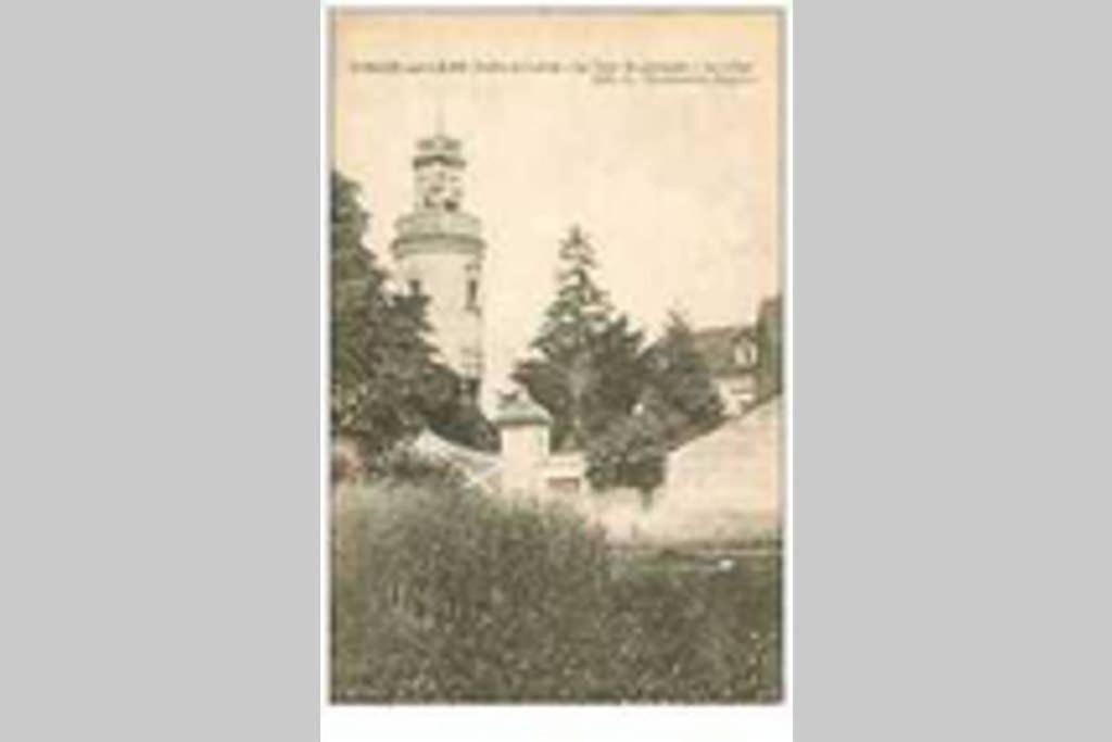 Villa Le Logis De La Tour Saint Jacques Chouzé-sur-Loire Esterno foto
