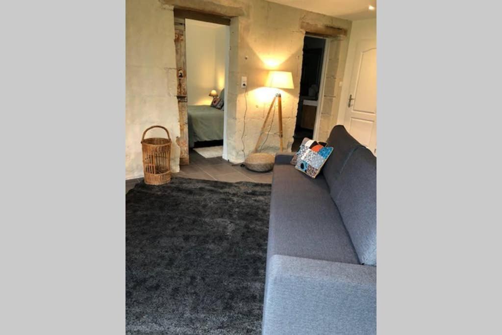Villa Le Logis De La Tour Saint Jacques Chouzé-sur-Loire Esterno foto