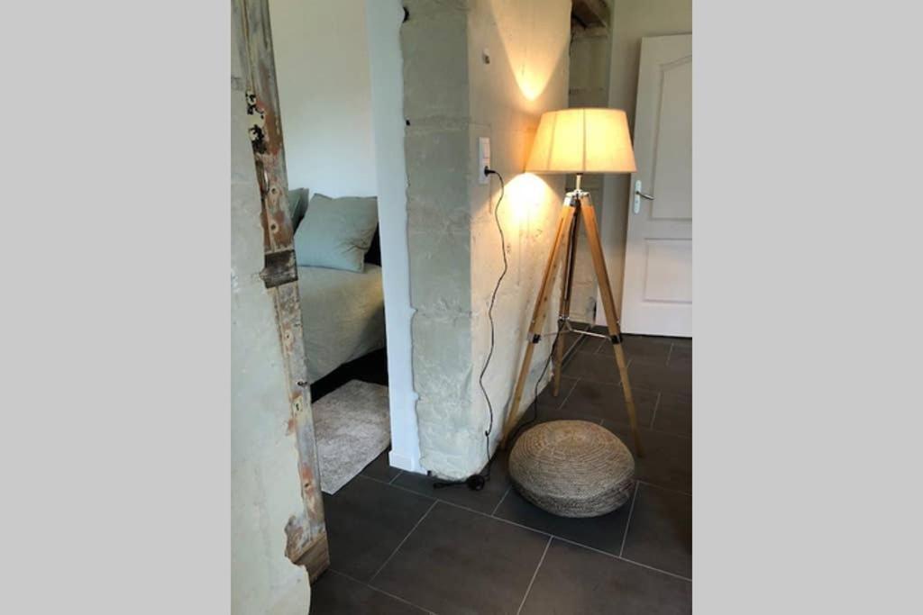 Villa Le Logis De La Tour Saint Jacques Chouzé-sur-Loire Esterno foto
