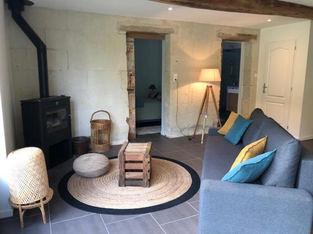 Villa Le Logis De La Tour Saint Jacques Chouzé-sur-Loire Esterno foto